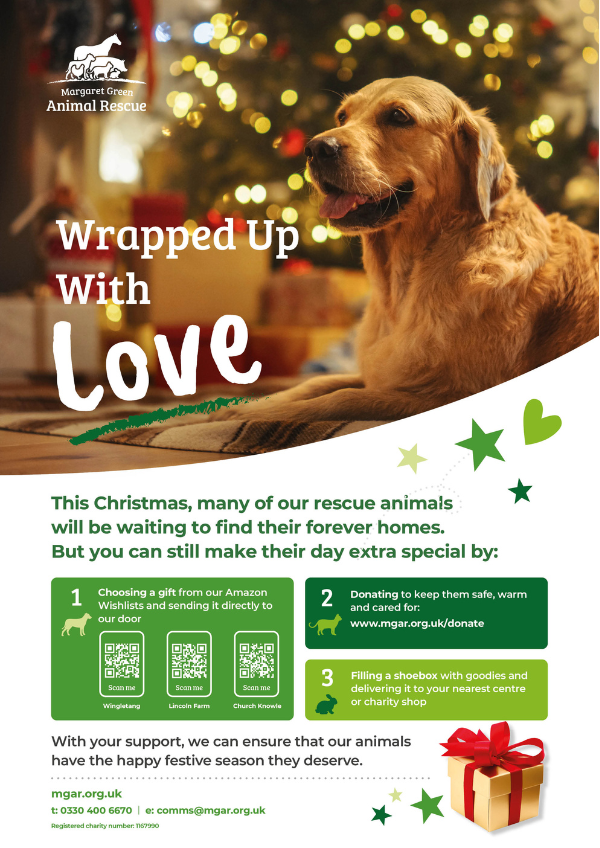 Wrapped Up With Love Poster 2025